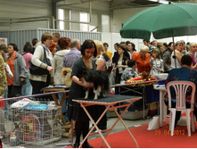 ����������� 176.jpg