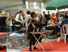 ����������� 177.jpg