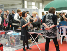 ����������� 178.jpg