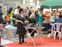 ����������� 181.jpg