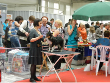 ����������� 182.jpg