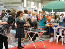 ����������� 183.jpg