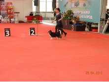 ����������� 184.jpg