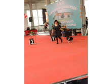 ����������� 186.jpg