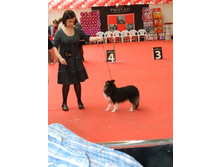 ����������� 187.jpg