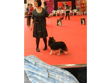 ����������� 188.jpg