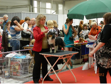 ����������� 190.jpg