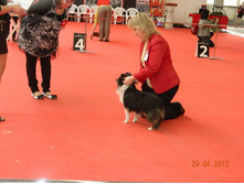 ����������� 193.jpg