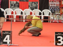 ����������� 195.jpg