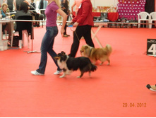 ����������� 197.jpg