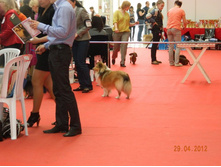 ����������� 198.jpg