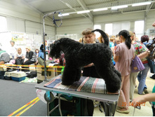 ����������� 199.jpg