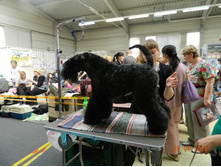 ����������� 200.jpg