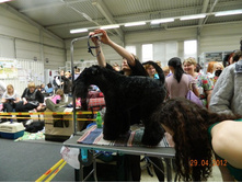 ����������� 201.jpg