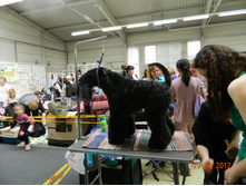 ����������� 202.jpg