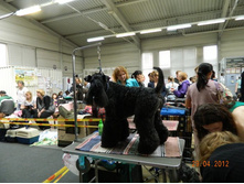 ����������� 203.jpg