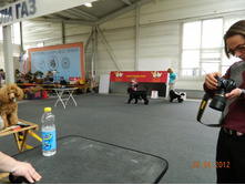 ����������� 204.jpg