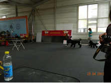 ����������� 205.jpg