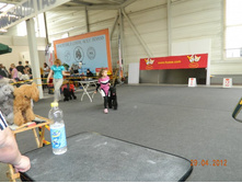 ����������� 206.jpg