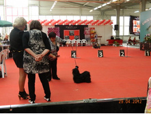 ����������� 208.jpg