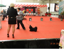 ����������� 209.jpg