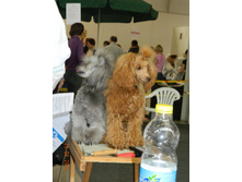 ����������� 211.jpg