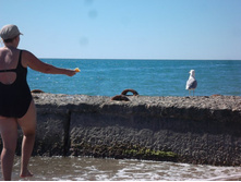 �������� ��ǣ� ����......