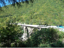 ������� ���� ����� ���� �������