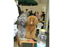 ����������� 212.jpg