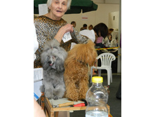 ����������� 214.jpg