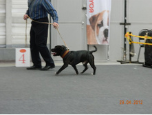 ����������� 216.jpg