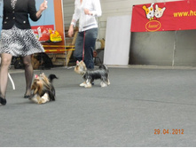 ����������� 217.jpg