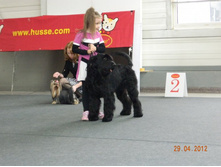 ����������� 221.jpg