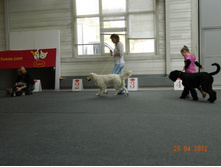 ����������� 226.jpg