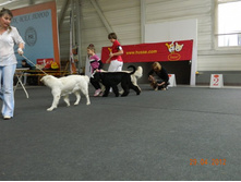 ����������� 227.jpg