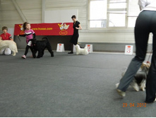 ����������� 228.jpg