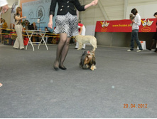 ����������� 229.jpg