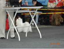 ����������� 230.jpg