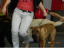 ����������� 231.jpg