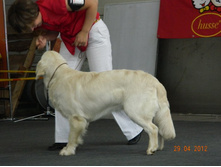 ����������� 232.jpg