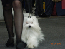 ����������� 234.jpg