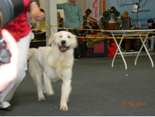 ����������� 237.jpg