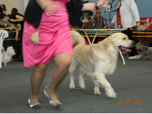 ����������� 238.jpg