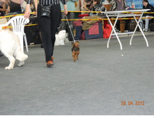 ����������� 240.jpg