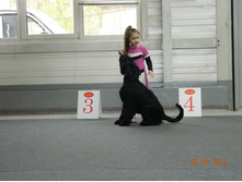 ����������� 242.jpg