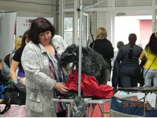 ����������� 244.jpg