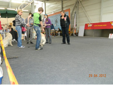 ����������� 246.jpg