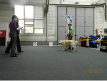 ����������� 247.jpg