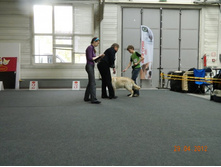 ����������� 248.jpg