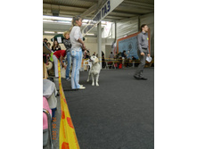 ����������� 249.jpg